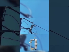 উচ্চ মানের ফিউজ কাটা 40.5 kv পলিমার বা সিরামিক ড্রপ আউট ফিউজ কাটা